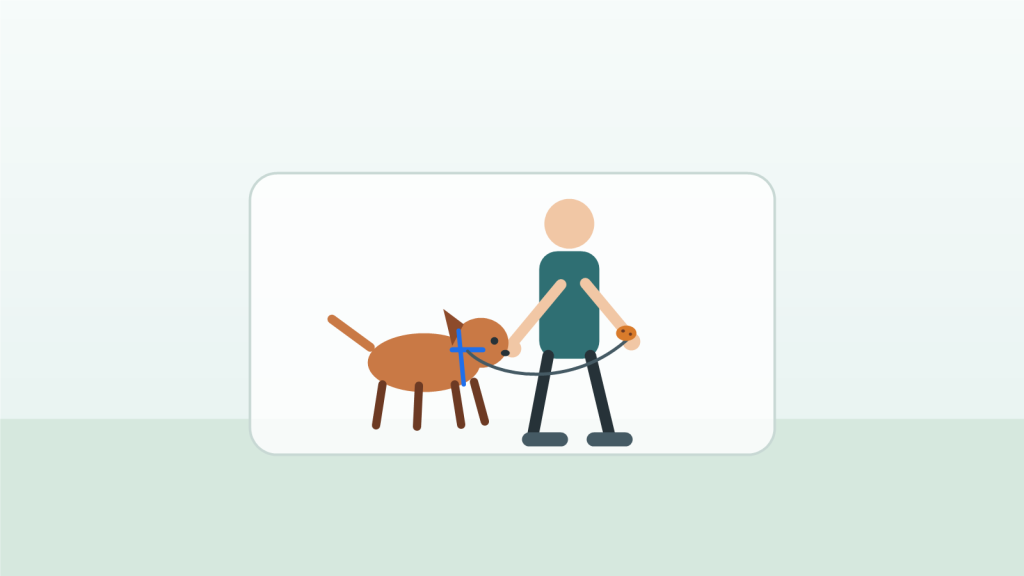 How to Teach a Dog to Heel on Leash: A Step-by-Step Guide for Beginners