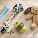 Flat lay of puppy chew toys including a rubber bone, rope toy, treat dispenser, and plush toy