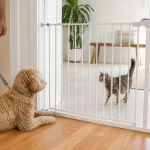 Dog and cat calmly seeing each other through a baby gate during introduction